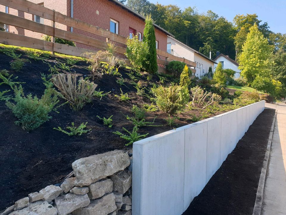 Pflasterarbeiten Gartenbau in Höxter