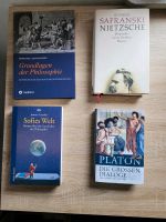Philosophie Bücher Niedersachsen - Holzminden Vorschau