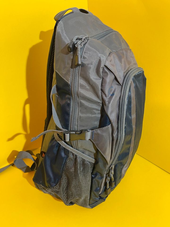 BorgWarner Rucksack in Medard