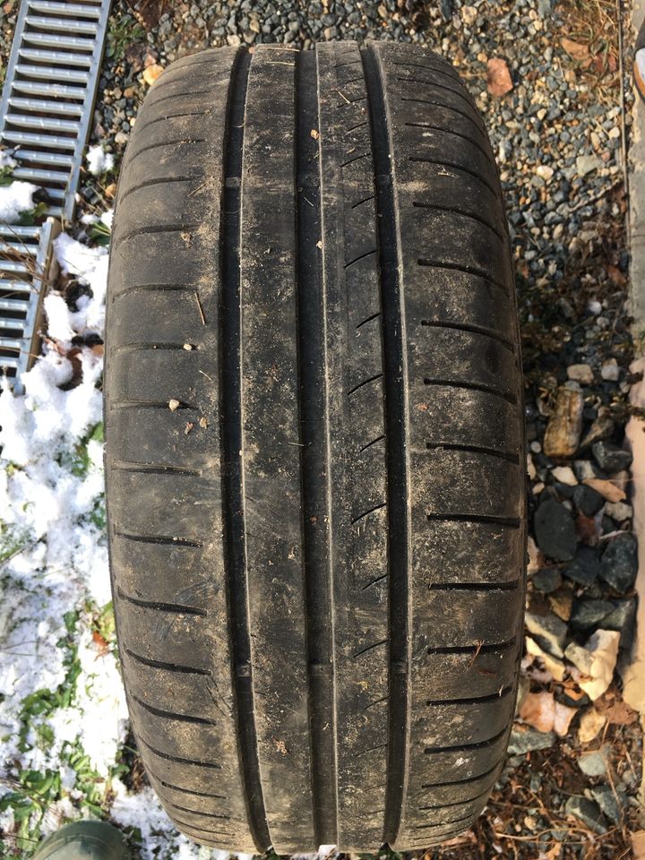 Sommerreifen dunlop 195/50 R 15 11/2020 in Berga/Elster