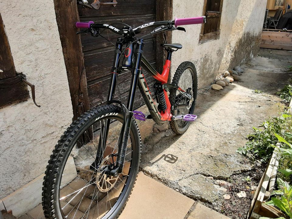 Norco Aurum Carbon DH in Efringen-Kirchen