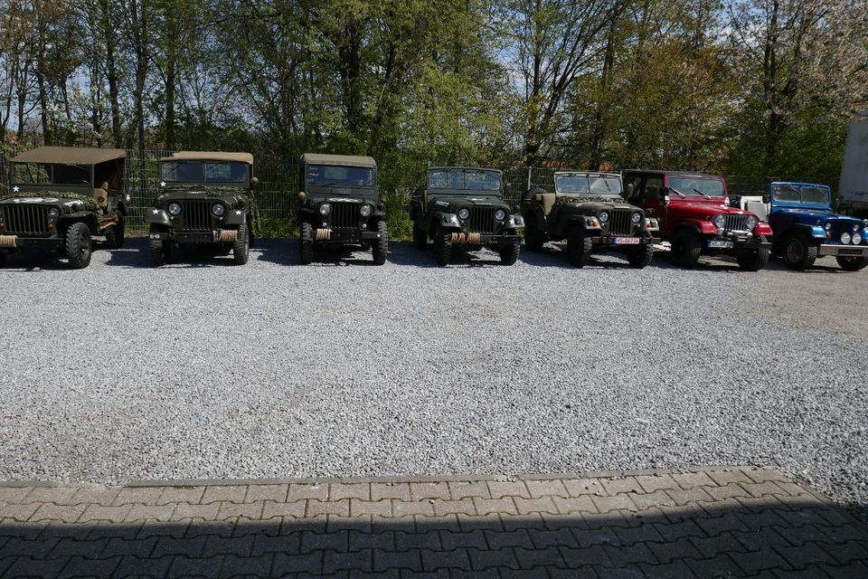 Suche Willys Jeep, M38, M38A1, CJ2A, CJ3A, Hotchkiss und ähnliche in Waldfeucht