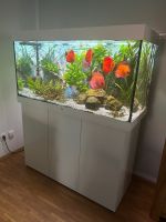 Aquarium Juwel Rio 350 LED Diskus Fische Baden-Württemberg - Leutenbach Vorschau