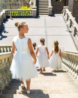 Fotograf für Deine Hochzeit in Berlin Berlin - Zehlendorf Vorschau