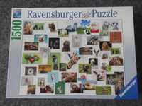 Ravensburger Puzzle 1500 Teile Motiv Funny Animals Niedersachsen - Barum Vorschau