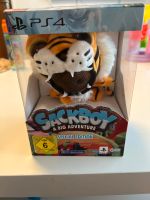 SackBoy Special Edition ps4/ps5 Wandsbek - Hamburg Jenfeld Vorschau