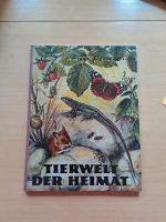 Sammel-Bildband Herba-Verlag Baden-Württemberg - Wangen im Allgäu Vorschau
