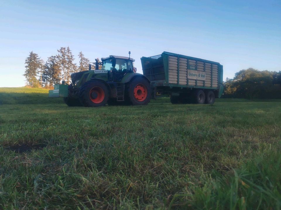 Wochenendjob, Lohnbetrieb oder auf der Landwirtschaft in Rastede