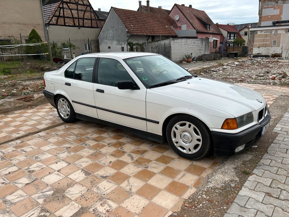 BMW E36 316i in Winden