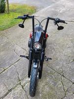 Harley Davidson Street Bob Baujahr 2019 Niedersachsen - Riede Vorschau