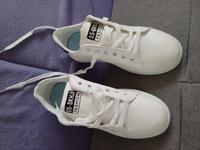 Sneaker & Sportschuhe neu Brandenburg - Milower Land Vorschau
