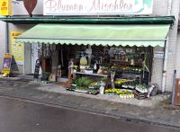 Übernahme Blumenladen mit vollständiger Geschäftsaustattung Saarland - Mettlach Vorschau