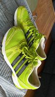 Marken Sportschuh Brandenburg - Potsdam Vorschau