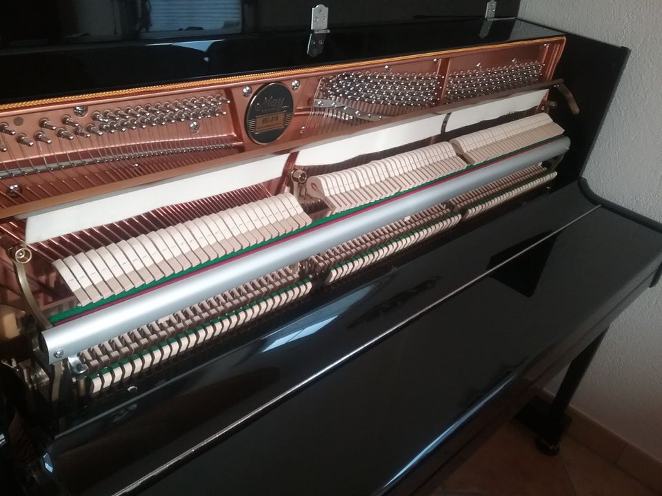 Klavier May, Selected by Schimmel in Schrobenhausen