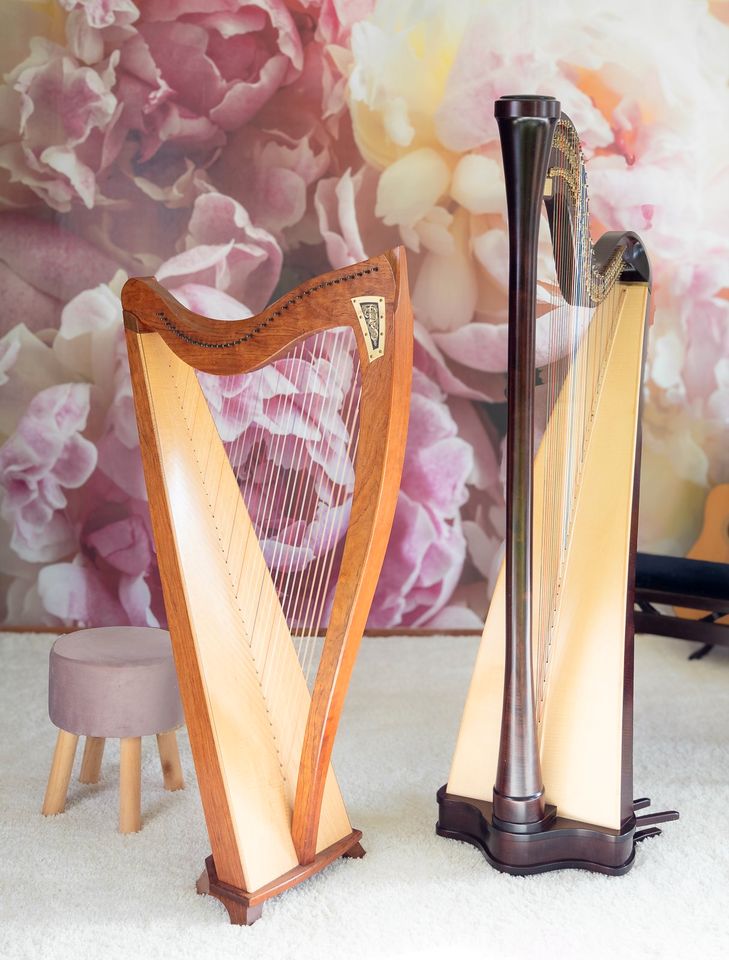 Harfenunterricht Keltische Harfe/ Hakenharfe/ Volksharfe in Monheim