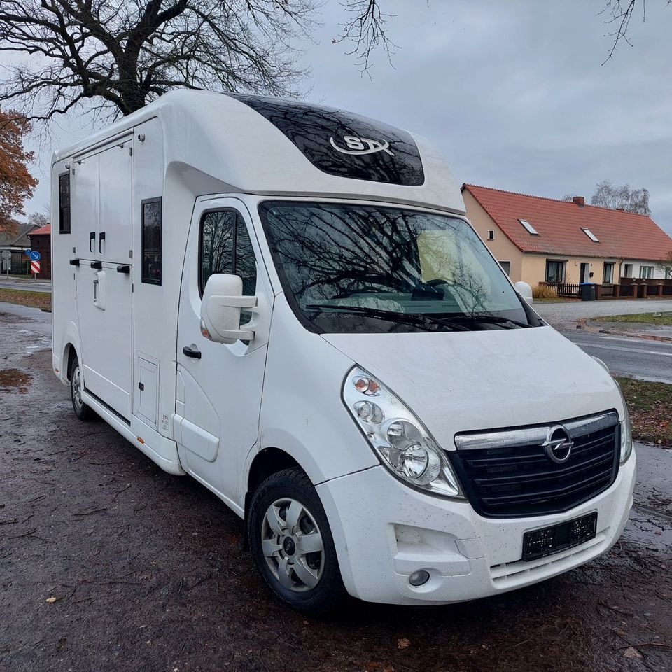 Pferdetransporter STX Horsebox Opel 3,5 t gebraucht, 5-Sitzer in Großderschau