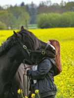 Pferd zu Verfügung gesucht, Stute Wallach Niedersachsen - Aurich Vorschau