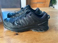 Salomon Outdoor Schuhe XA Pro 3D V9 GTX Gr.45 1/3 Nordrhein-Westfalen - Troisdorf Vorschau