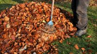 Laubentfernung Laubrechen Gartenpflege Baden-Württemberg - Steinmauern Vorschau