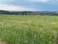 Regio Saatgut UG17 Ökopunkte südliches Alpenvorland Regiozert Baden-Württemberg - Überlingen Vorschau