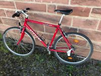 Stevens 662 Trekking Bike Herren RH 55cm Baden-Württemberg - Malsch Vorschau