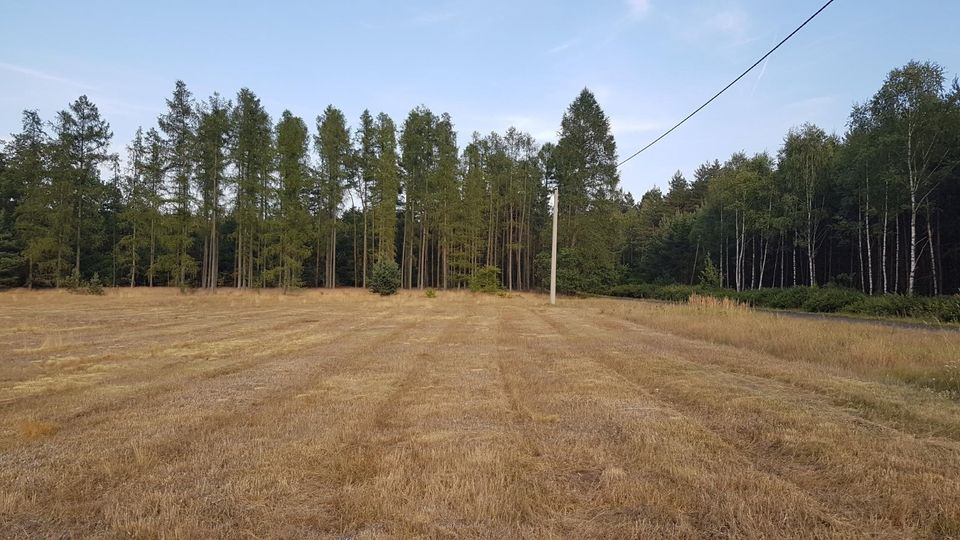 Polen Baugrundstücke in ruhiger Lage am Wald in Görlitz