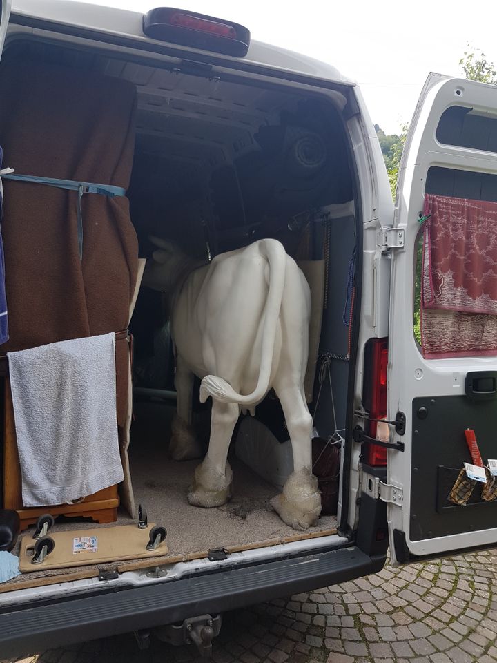 Transportunternehmen mit Kunden Auto für Selbstfahrer zu verkauf in Mölln