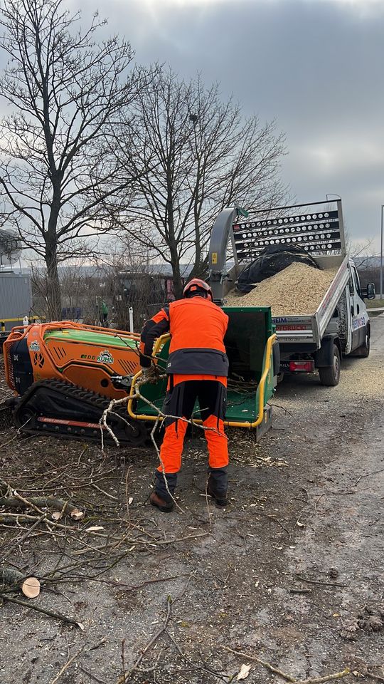 Mähen Mulchen Grünschnitt Steilhang Holz rücken Bäume fällen in Weiden b Weimar Thür