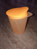 Tupperware Junge Welle Orange Kanne Saft Milch 1L Bayern - Lauingen a.d. Donau Vorschau