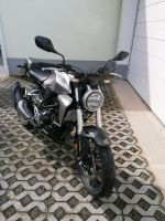 Honda CB300R Sachsen - Werdau Vorschau