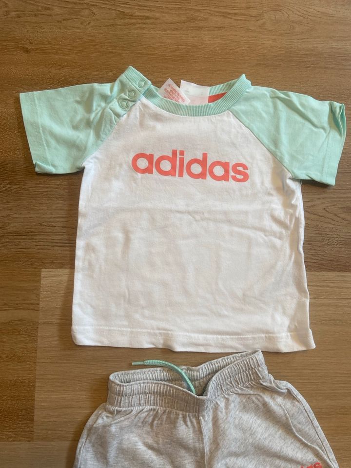 Adidas Sommer Set T-Shirt + Shorts in Größe 68 / grau weiß in Lemgo