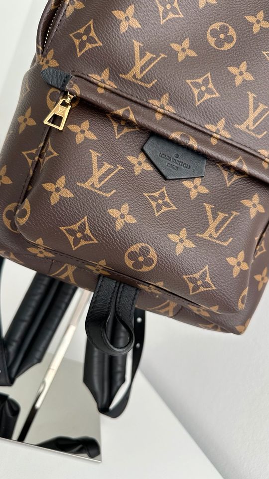 Louis Vuitton Palm Springs PM Rucksack Black in Krefeld