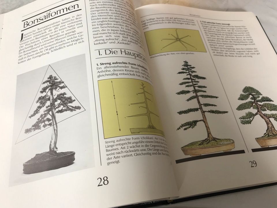 Bonsai, Fachbuch über Bonsai, Hobby, Garten, Japan in Waldbrunn