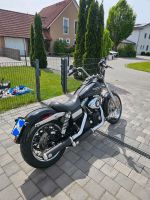 Harley Davidson Street bob mit Penzl auspuffanlage Bayern - Essenbach Vorschau