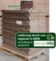 1 pal 960kg Pollmeier Buchenbrikett Holzbriketts Hartholzbriketts Nordrhein-Westfalen - Datteln Vorschau