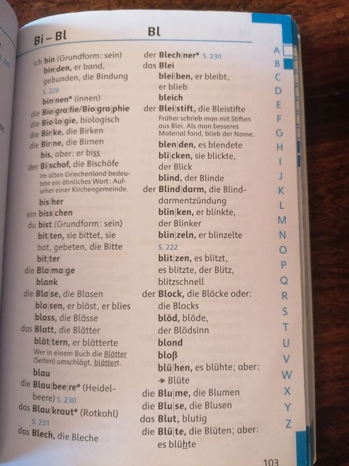 Taschenbuch - Von A bis Zett - Wörterbuch für Grundschüler in Swisttal