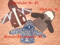 Verschiedene Winterjacken 74/80 H&M, Sterntaler Bayern - Gerhardshofen Vorschau