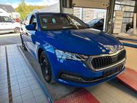 Skoda Octavia Combi Style 8 fach LED Alu netto 13795€ Sachsen - Triebel Vorschau