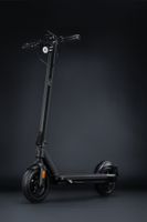 Fachhändler: E-Scooter VMAX VX2 Extreme ST 48V/500W/55km150kg/10" Duisburg - Meiderich/Beeck Vorschau