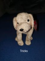 20* Beanie Babies Hund Tricks Bayern - Bayreuth Vorschau