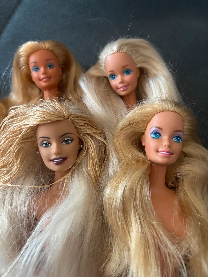 Barbie Konvolut in Jockgrim