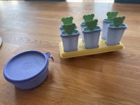 Tupperware Tiwi Eiszubereiter + Kinderteller Schleswig-Holstein - Schuby Vorschau