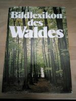 Bildlexikon des Waldes Niedersachsen - Oetzen Vorschau