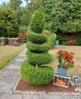 Gartenpflege/Gartenarbeiten Bothfeld-Vahrenheide - Isernhagen-Süd Vorschau