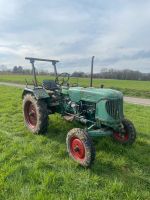 Güldner ABS 10 Oldtimer Traktor Schlepper kein Fendt Nordrhein-Westfalen - Hüllhorst Vorschau