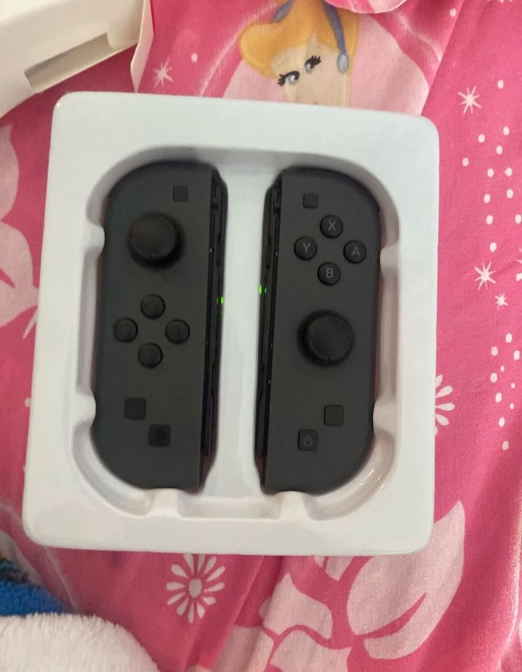 Nintendo Switch Joy Cons in Gera
