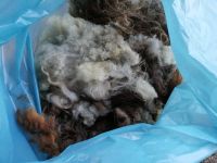Schafsrohwolle / Skuddenrohwolle zu verkaufen Nordrhein-Westfalen - Nümbrecht Vorschau