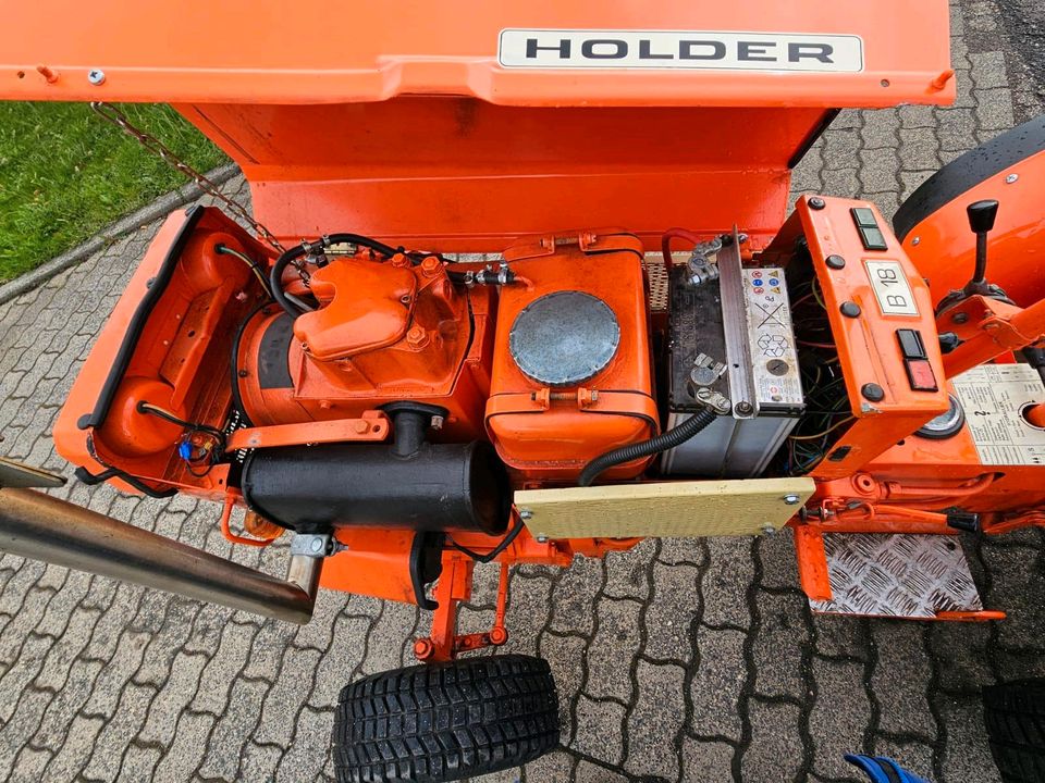 Holder B18 in Schleiden