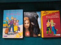 Kinder Bücher Paket Ostwind, Conni & Co.... Bayern - Lichtenfels Vorschau