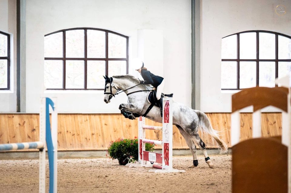 Eine Stute fuer den grossen Sport V:Coupie/Coupe de Coeur in Berlin